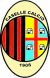 logo CASELLE CALCIO